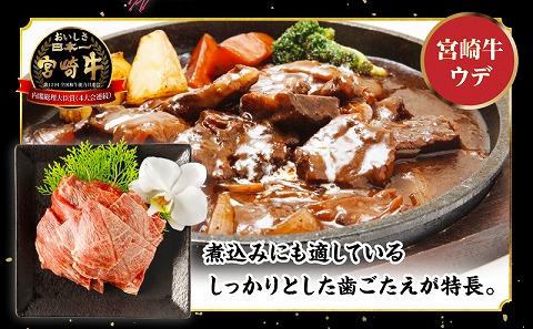 【期間限定】宮崎牛 モモ ウデ 焼肉 セット 各500g 合計1kg_M132-012_02-UP