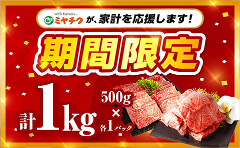 【期間限定】宮崎牛 モモ ウデ 焼肉 セット 各500g 合計1kg_M132-012_02-UP