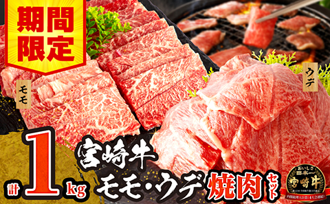 [期間限定]宮崎牛 モモ ウデ 焼肉 セット 各500g 合計1kg_M132-012_02-UP