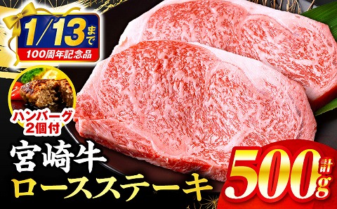 【市制100周年特別規格・期間限定】宮崎牛ロースステーキ250g×2 合挽きハンバーグ100g×2個 合計700g_M132-014-B