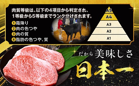【数量限定】畜産農家応援！宮崎牛ロースステーキ250g×2 国産 国産牛 宮崎牛 みやざき牛 ブランド牛 和牛 ロース肉 _M132-014-PU3