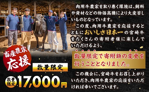 【期間・数量限定】宮崎牛ロースステーキ250g×2 合挽きハンバーグ100g×2個 合計700g_M132-014-B