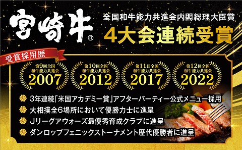 【期間・数量限定】宮崎牛ロースステーキ250g×2 合挽きハンバーグ100g×2個 合計700g_M132-014-B