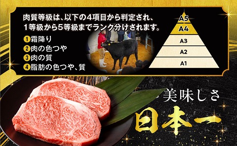 【期間・数量限定】宮崎牛ロースステーキ250g×2 合挽きハンバーグ100g×2個 合計700g_M132-014-B