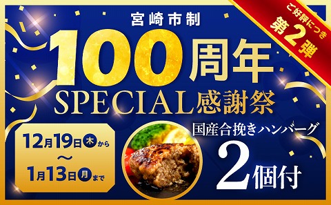 【市制100周年特別規格・期間限定】宮崎県産黒毛和牛ロースステーキ250g×2 合挽きハンバーグ100g×2個 合計700g_M132-091-B