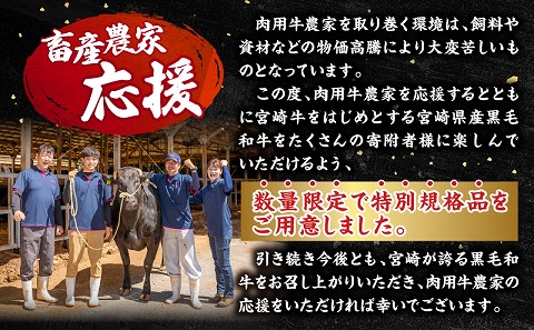 【市制100周年特別規格・期間限定】宮崎県産黒毛和牛ロースステーキ250g×2 合挽きハンバーグ100g×2個 合計700g_M132-091-B