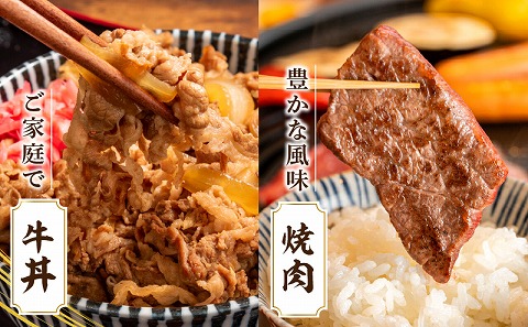 【期間限定】宮崎牛肩ロース焼肉400g×2 宮崎県産黒毛和牛小間切れ100g×2 合計1kg_M132-020-01-UP