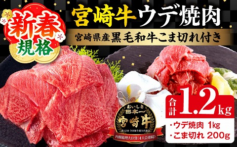 【期間限定】宮崎牛ウデ焼肉500g×2 宮崎県産黒毛和牛小間切れ100g×2 合計1.2kg_M132-022-01-UP