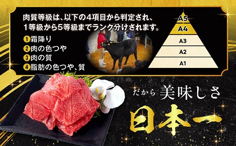 【期間限定】宮崎牛ウデ焼肉500g×2 宮崎県産黒毛和牛小間切れ100g×2 合計1.2kg_M132-022-01-UP