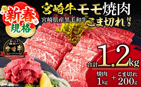 【期間限定】宮崎牛モモ焼肉500g×2 宮崎県産黒毛和牛こま切れ100g×2 合計1.2kg_M132-024-01-UP