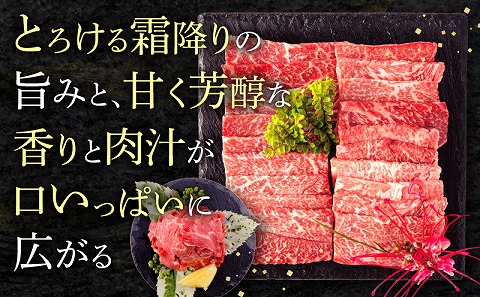 【期間限定】宮崎牛モモ焼肉500g×2 宮崎県産黒毛和牛こま切れ100g×2 合計1.2kg_M132-024-01-UP