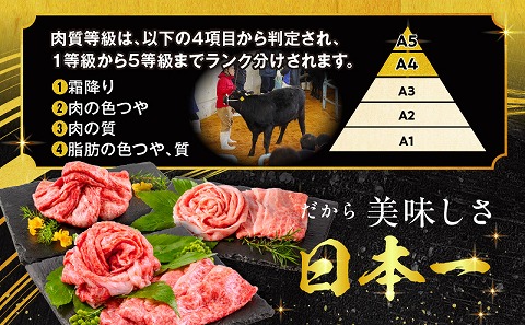 【期間限定】宮崎牛ウデスライス500g 宮崎牛モモスライス500g 宮崎牛バラスライス500g 合計1.5kg_M132-026-UP