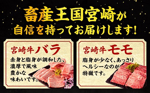 宮崎牛 バラ・モモ焼肉 宮崎県産豚 バラ焼肉 宮崎県産 黒毛和牛 こま切れ セット 合計1.5kg_M132-028