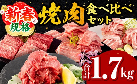 【期間限定】宮崎牛バラ焼肉500g 宮崎牛モモ焼肉500g 宮崎県産豚バラ焼肉500g 宮崎県産黒毛和牛小間切れ100g×2 合計1.7kg_M132-028-UP