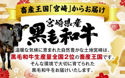 【2025年6月発送】【期間・数量限定】宮崎県産 黒毛和牛 肩ロース・ウデ・モモ スライス 各300g 合計900g+合挽きハンバーグ100g×2個_M132-092-B-jun