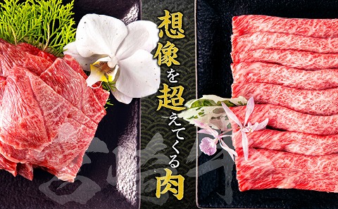 【期間限定】宮崎牛肩ロース焼きしゃぶ400g 宮崎牛ウデ焼肉500g 合計900g_M132-031-UP