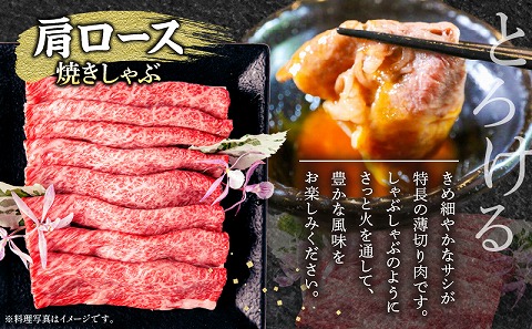 【期間限定】宮崎牛肩ロース焼きしゃぶ400g 宮崎牛ウデ焼肉500g 合計900g_M132-031-UP