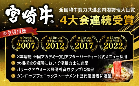 【期間・数量限定】宮崎牛スライス3種セット （モモスライス300g/ウデスライス300g/肩ローススライス300g）合計900g+合挽きハンバーグ100g×2個_M132-041-B