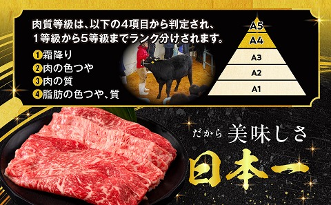 【期間・数量限定】宮崎牛スライス3種セット （モモスライス300g/ウデスライス300g/肩ローススライス300g）合計900g+合挽きハンバーグ100g×2個_M132-041-B