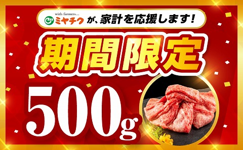 【期間限定】宮崎牛 A5ランク ウデスライス500g_M132-042-01-UP