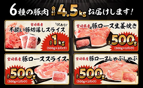 【最速便】ロースたっぷり大満足豚肉バラエティセット4.5kg_M132-064-Z