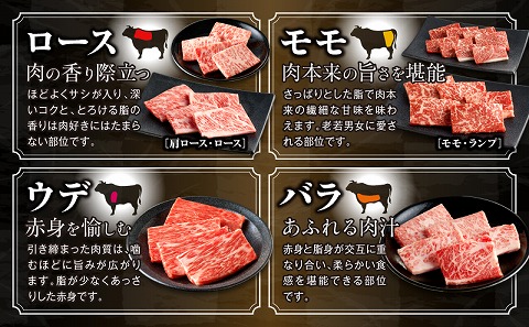 【期間限定】宮崎牛焼肉10種盛り合わせ+合挽きハンバーグ100g×2個_M132-067-B