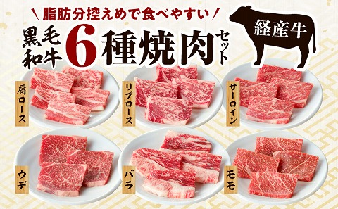 黒毛和牛（経産牛）6種焼肉セット300g × 2（計600g）_M132-078