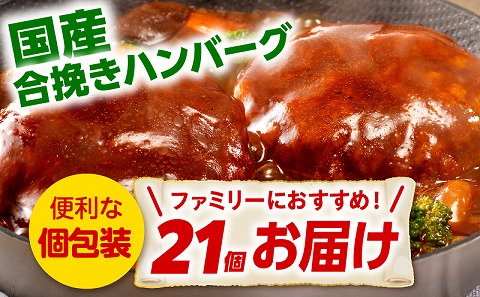 合挽デミグラスソースハンバーグ21個_M132-081