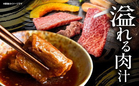 宮崎牛 焼肉3種セット(肩ロース・ウデ・モモ 各300g 合計900g)_M132-093