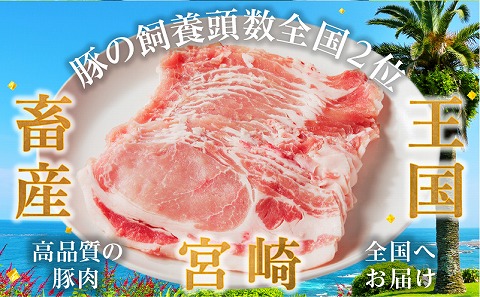 日高さんげの焼肉“倍”セット_M132-088