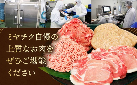 ãæéã»æ°ééå®ãçç£èŸ²å®¶å¿æŽïŒå®®åŽçç£é»æ¯åçããŒã¹ã¹ããŒã250gÃ2ã»åœç£çãã³ããŒã°100gÃ2å_M132-091-PU-B2