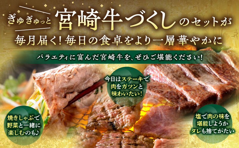 宮崎牛を食べつくす！ぎゅぎゅっとバラエティ定期便(総重量3.85kg) 定期便 定期 6回 宮崎牛 ブランド牛 国産牛 和牛 A4 牛肉 牛 肉 詰め合わせ セット 食べ比べ 味比べ 焼肉 焼き肉 焼しゃぶ 焼きしゃぶ すき焼き すきやき モモ ステーキ ステーキ肉 ロース ウデ 肩ロース バラ ミスジ 小分け 冷凍 グルメ お取り寄せ_M132-T002