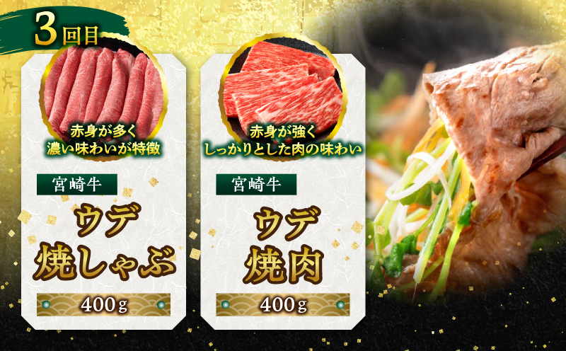 宮崎牛を食べつくす！ぎゅぎゅっとバラエティ定期便(総重量3.85kg) 定期便 定期 6回 宮崎牛 ブランド牛 国産牛 和牛 A4 牛肉 牛 肉 詰め合わせ セット 食べ比べ 味比べ 焼肉 焼き肉 焼しゃぶ 焼きしゃぶ すき焼き すきやき モモ ステーキ ステーキ肉 ロース ウデ 肩ロース バラ ミスジ 小分け 冷凍 グルメ お取り寄せ_M132-T002