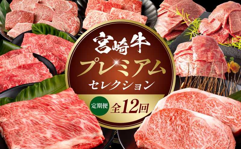 【全12回定期便】宮崎牛プレミアムセレクション 肩ロース ロースステーキ 焼肉_M132-T042-12-1
