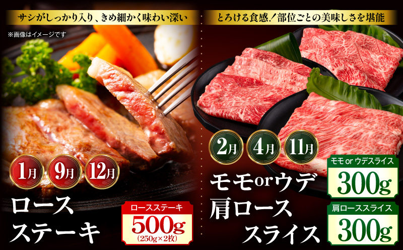 ãå
š12åå®æäŸ¿ãå®®åŽçãã¬ãã¢ã ã»ã¬ã¯ã·ã§ã³ å®®åŽç ããŒã¹ ã¹ããŒã ã¢ã¢è ãŠã ã¹ã©ã€ã¹ ãã¹ãž åžå°éšäœ ãã© çŒè çŒãè å®æäŸ¿ 12å ãã©ã³ãç åœç£_M132-T042-12-1