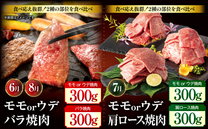 ãå
š12åå®æäŸ¿ãå®®åŽçãã¬ãã¢ã ã»ã¬ã¯ã·ã§ã³ å®®åŽç ããŒã¹ ã¹ããŒã ã¢ã¢è ãŠã ã¹ã©ã€ã¹ ãã¹ãž åžå°éšäœ ãã© çŒè çŒãè å®æäŸ¿ 12å ãã©ã³ãç åœç£_M132-T042-12-1