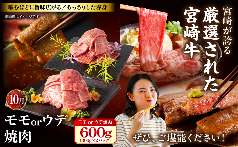 ãå
š12åå®æäŸ¿ãå®®åŽçãã¬ãã¢ã ã»ã¬ã¯ã·ã§ã³ å®®åŽç ããŒã¹ ã¹ããŒã ã¢ã¢è ãŠã ã¹ã©ã€ã¹ ãã¹ãž åžå°éšäœ ãã© çŒè çŒãè å®æäŸ¿ 12å ãã©ã³ãç åœç£_M132-T042-12-1