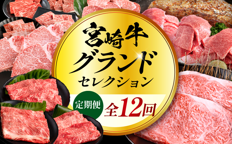 【全12回定期便】宮崎牛グランドセレクション 肩ロース ペッパーハンバーグ 焼肉_M132-T043-12-1
