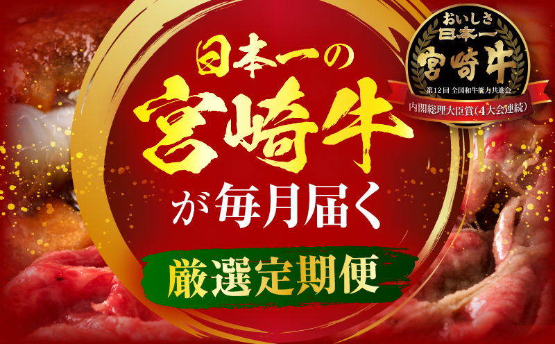 ãå
š12åå®æäŸ¿ãå®®åŽçã°ã©ã³ãã»ã¬ã¯ã·ã§ã³ è©ããŒã¹ ããããŒãã³ããŒã° çŒè_M132-T043-12-1