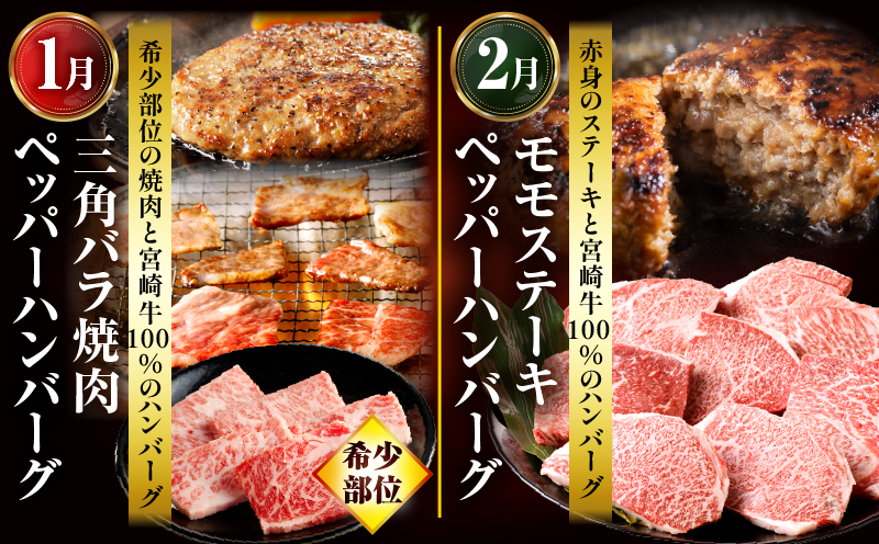 ãå
š12åå®æäŸ¿ãå®®åŽçã°ã©ã³ãã»ã¬ã¯ã·ã§ã³ è©ããŒã¹ ããããŒãã³ããŒã° çŒè_M132-T043-12-1