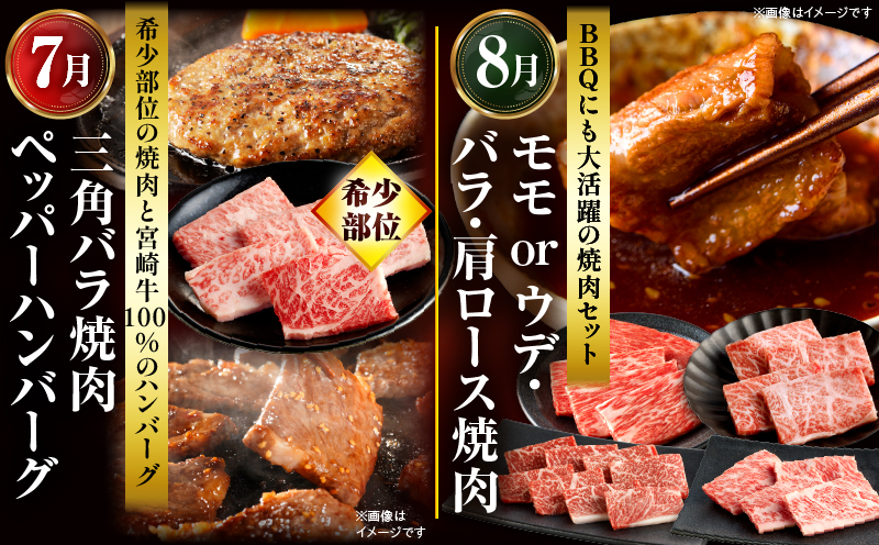 ãå
š12åå®æäŸ¿ãå®®åŽçã°ã©ã³ãã»ã¬ã¯ã·ã§ã³ è©ããŒã¹ ããããŒãã³ããŒã° çŒè_M132-T043-12-1