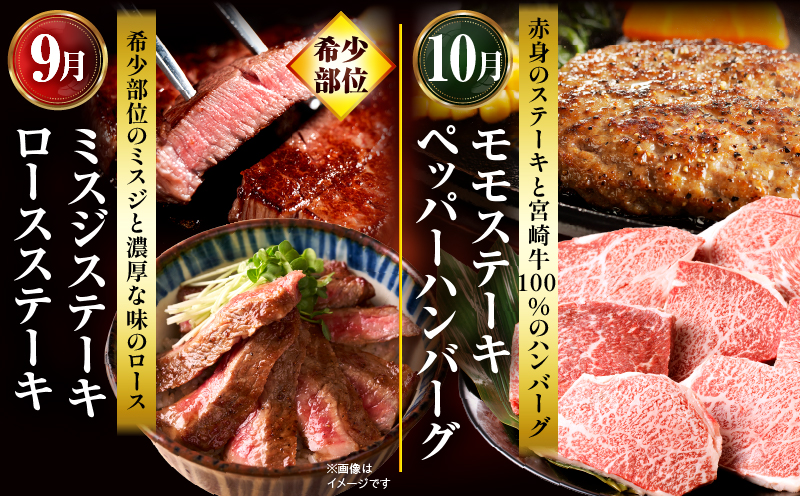 ãå
š12åå®æäŸ¿ãå®®åŽçã°ã©ã³ãã»ã¬ã¯ã·ã§ã³ è©ããŒã¹ ããããŒãã³ããŒã° çŒè_M132-T043-12-1