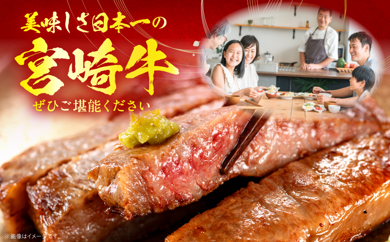 ãå
š12åå®æäŸ¿ãå®®åŽçã°ã©ã³ãã»ã¬ã¯ã·ã§ã³ è©ããŒã¹ ããããŒãã³ããŒã° çŒè_M132-T043-12-1