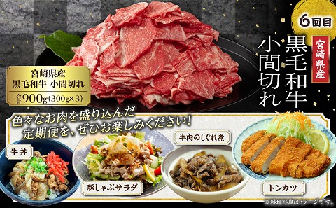 ãèš³ããã<å®æäŸ¿>å®®åŽçç£é»æ¯åçã»å®®åŽçç£è±è 6ãæã³ãŒã¹|è çè è±è 粟è ç è± ãè å®®åŽçç£ åœç£ åç 黿¯åç åœç£ç åœç£è± èš³ãã èš³ããå èš³ããå®æäŸ¿ çèå®æäŸ¿ è±èå®æäŸ¿ çè±å®æäŸ¿ 6ã¶æ æ¯æ äžæã æç æ®æ®µäœ¿ã å°åã ãã㯠ã¹ãã㯠å·å çŒè BBQ äººæ° ãããã|_M132-T046