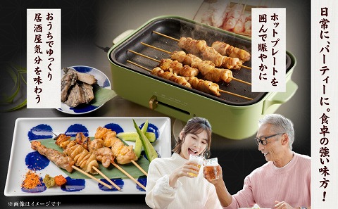 九州産若鶏 焼き鳥5種(60本)バラエティーセット_M146-016