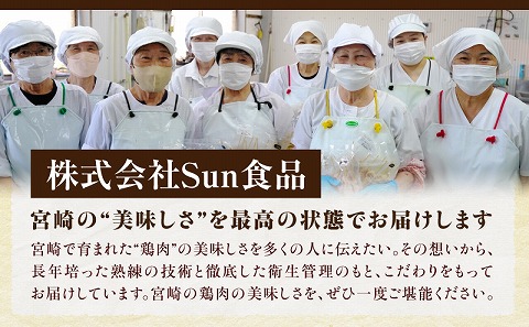 九州産若鶏の焼き鳥セット5種以上（60本）盛り合わせ_M146-001_may