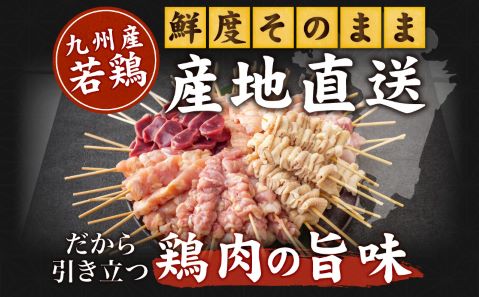 九州産若鶏の焼き鳥セット5種以上（60本）盛り合わせ_M146-001_may