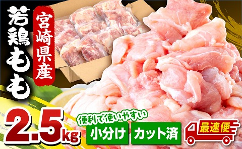 【最速便】宮崎県産若鶏 もも肉 2.5kg（250g×10パック）_M146-008_01-2W