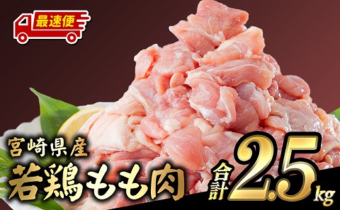 【最速便】宮崎県産若鶏 もも肉 2.5kg（250g×10パック）※小分け・カット済・真空冷凍_M146-008_01-2W