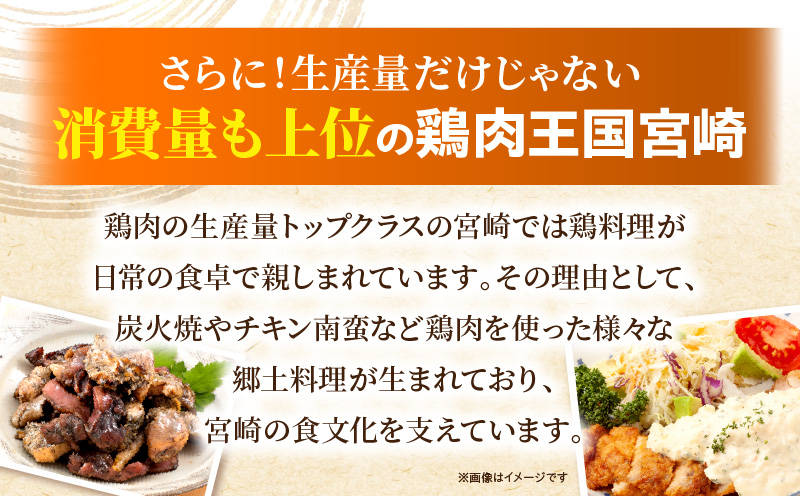 【2月・4月・6月お届け】【全3回定期便】宮崎県産若鶏 もも肉 2.5kg(250g×10パック)_M146-T008-3-2G